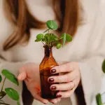 Piante benefiche per la salute: guida pratica per scegliere e usare le “piante della salute”