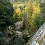 Foreste primarie in Europa: ne esistono ancora e alcune sono più vicine di quanto pensi