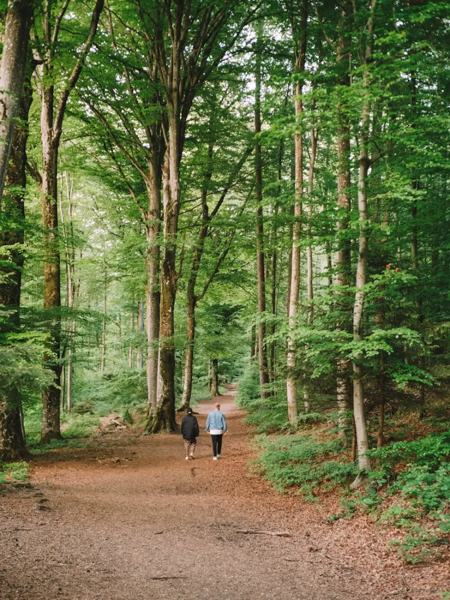 Bagno nella natura: cos'è il forest bathing e cosa dice la ricerca sui suoi effetti reali