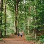 Bagno nella natura: cos'è il forest bathing e cosa dice la ricerca sui suoi effetti reali