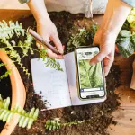 App riconoscimento piante: quanto sono affidabili?